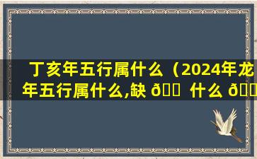 丁亥年五行属什么（2024年龙年五行属什么,缺 🐠 什么 🐺 ）